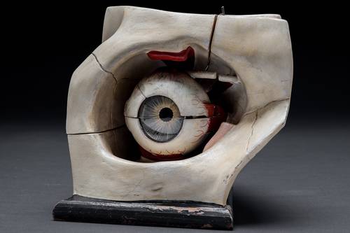 Augenärztliche Sammlung