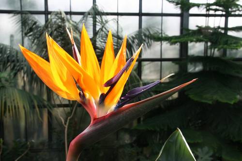 Botanischer Garten