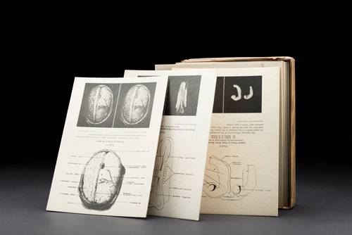 Sammlung für Ethik und Geschichte der Medizin
