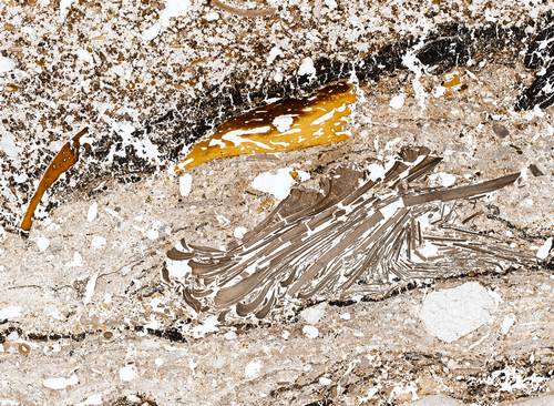 Geoarchäologische Sammlung